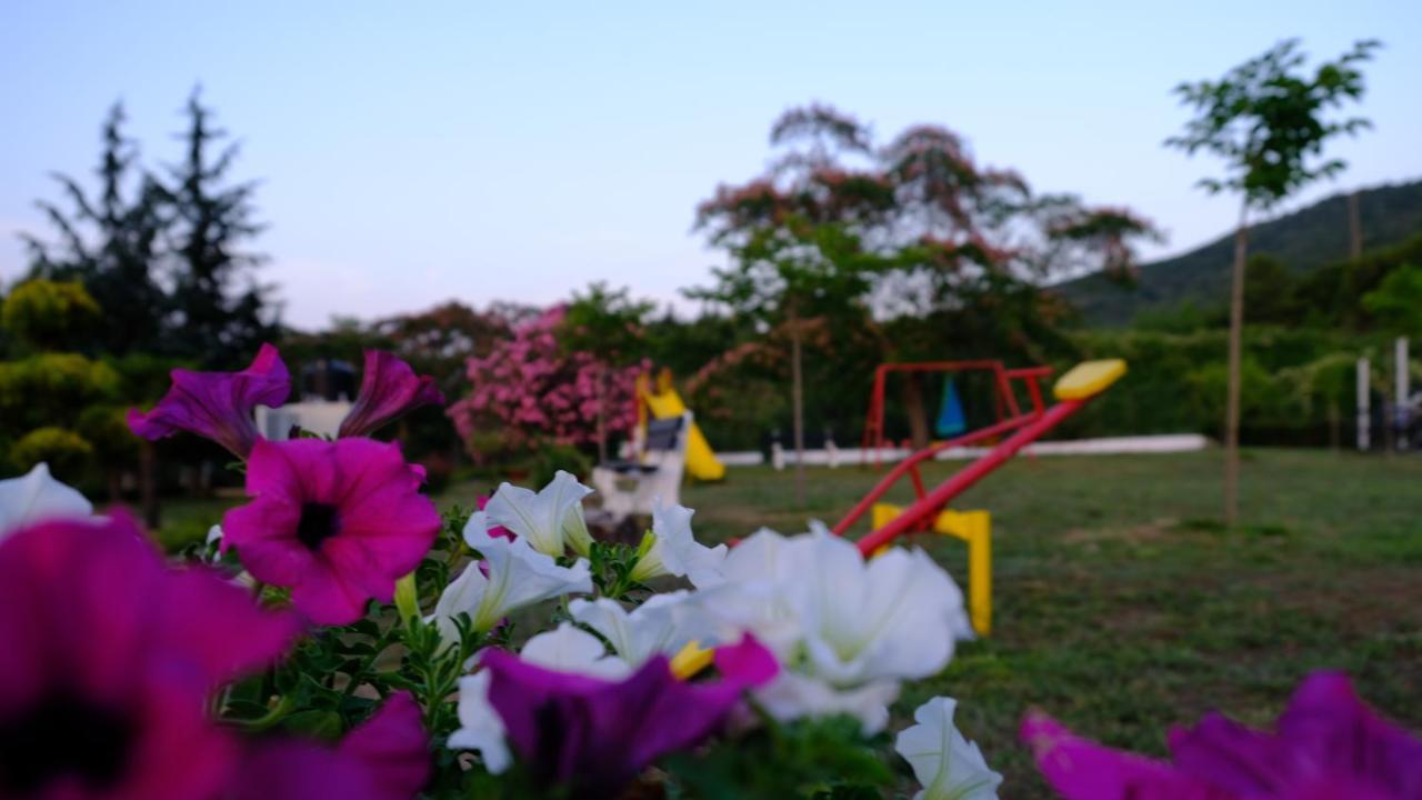 Casa Alegria Villa Olímbiáda Kültér fotó