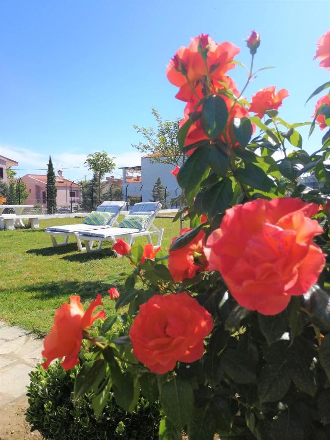 Casa Alegria Villa Olímbiáda Kültér fotó